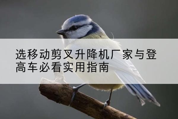 法库电动升降机厂家-选移动剪叉升降机厂家与登高车必看实用指南