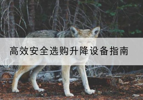 法库升降货梯厂家推荐-*安全选购升降设备指南
