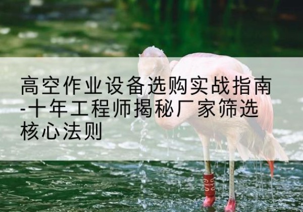 法库剪叉式升降机厂家-高空作业设备选购实战指南-十年工程师揭秘厂家筛选核心法则